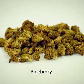 Pineberry