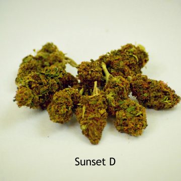 Sunset D